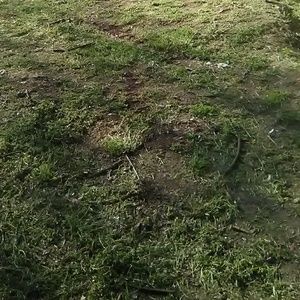 Meet your Posher, Connie